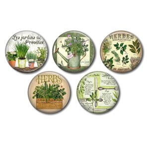Cabochons résine, 25 ou 20 mm, à coller, rond, lot de 5, Herbes de Provence