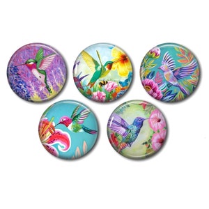 Cabochon résine rond 25 ou 20 mm au choix,à coller, lot de 5, Oiseaux pivert