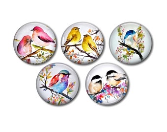 Cabochon résine rond 25 ou 20 mm au choix,à coller, lot de 5, Oiseaux aquarelle