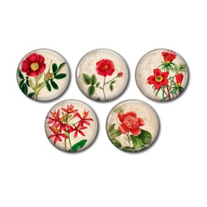 Cabochons résine, 25 ou 20 mm au choix,à coller, rond, lot de 5, Fleurs Rouges