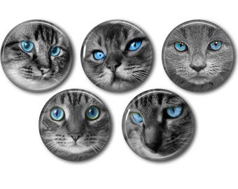 Lot 5 cabochons resin, to glue, round, choice 20 or 25mm Cat black and white 04