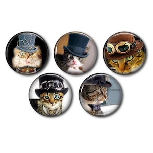 Cabochons résine 25mm ou 20mm lot de 5 au choix, rond, à coller - Chat Steampunk 01