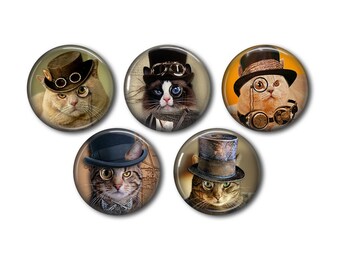 Lot 5 resin cabochons, to glue, round, choice of 20 or 25mm Steampunk Cat 03