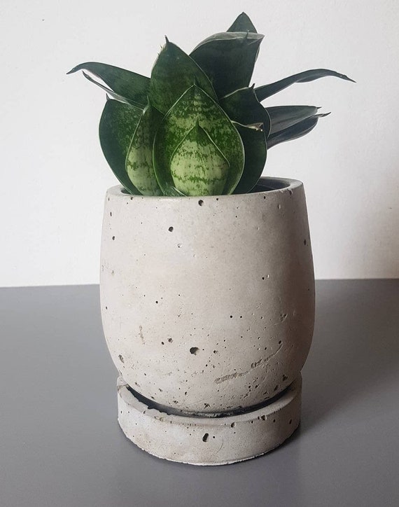 buy online australia Big Concrete Planter With Tray