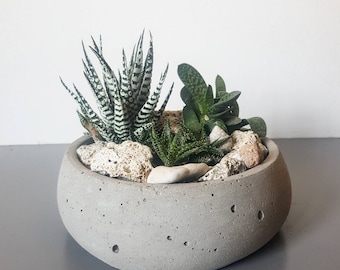 Medium Size Concrete Planter