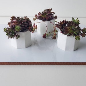 Set Of 3 Mini White Cement Planters / Succulent planter / Cactus Planter / Modern Planter / Succulent Pot / Cactus Pot / Wedding Favor