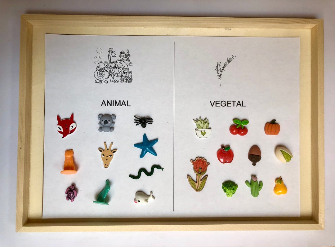 Animal / Plant Montessori Sorting Activity 20 Miniature Etsy