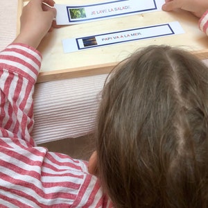 Reading sentence cards, PAPER format, first reading, all the letters can be read, learning to read, nursery educational material image 10