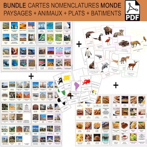 BUNDLE +160 cartes Monde : Animaux + Continents + Paysages + Plats + Bâtiments, Montessori, 7 continents, géographie
