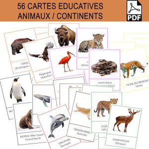 56 x Cartes ANIMAUX monde, 8x7 cartes nomenclature Montessori pour les 7 continents, découverte géographique, enfant, école ou maison, ief