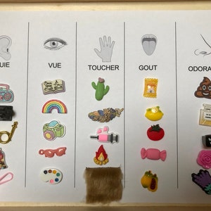 Montessori Sorting Activity 5 Senses, Touch, Taste, Sight, Hearing ...