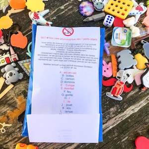 Può includere: Una collezione di piccoli giocattoli e oggetti colorati, tra cui forme di animali, lettere e un foglio di carta con testo. Gli oggetti sono sparsi su una superficie di legno, creando un tema giocoso ed educativo.