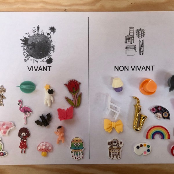 LIVING / NON-LIVING Sorting Activity, Montessori, Sorting Activity, 24 miniature objects to classify, nursery educational activity, self-correction