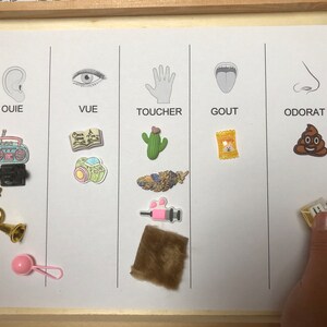 Montessori Sorting Activity 5 Senses, Touch, Taste, Sight, Hearing ...