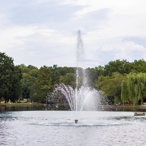 Water Fountain