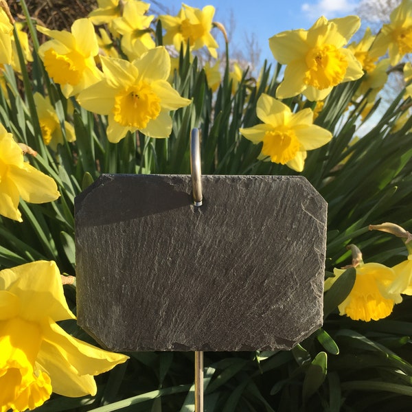 6 Natural Slate Labels + Stainless Steel Supports - Garden Decor