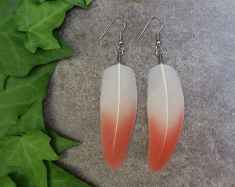 Flamingo Feathers Earrings, Real flamingo feathers, Cruelty free feathers, Pink feathers earrings, Natural Ethical Gift