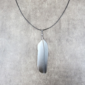 Pode incluir: Um pingente de pena em metal prateado suspenso por um cordão preto fino. O pingente de pena apresenta um acabamento liso e fosco com um detalhe de nervura central que percorre verticalmente o centro, preso ao cordão por uma pequena argola.