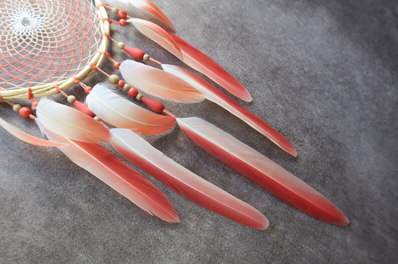 American dream thesis flamingo rising 08 image