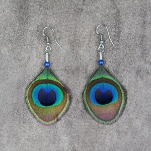 May include: A pair of earrings featuring peacock feather designs. Each earring has a silver-colored hook, a small blue bead, and a teardrop-shaped feather with green, blue, and brown hues. The feathers have a distinctive eye-like pattern.