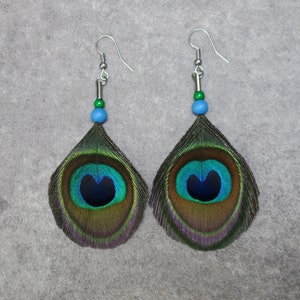 Peacock Feathers Earrings, Natural Blue and Green Feathers, Unique Gift image 3