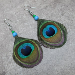 Peacock Feathers Earrings, Natural Blue and Green Feathers, Unique Gift image 6