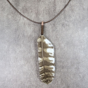 Può includere: Una collana con un ciondolo a forma di piuma naturale caratterizzato da strisce orizzontali marroni e bianche. La piuma è fissata a un sottile cordino marrone scuro tramite una piccola legatura avvolta sulla parte superiore, creando un gioiello.