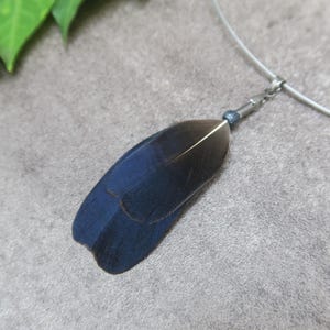 Pode incluir: Um colar com um pingente de pena azul-escura e preta suspenso por um fio de metal prateado. A pena está presa ao fio por um pequeno suporte metálico com uma conta escura minúscula no topo da haste da pena.