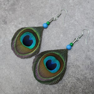 Peacock Feathers Earrings, Natural Blue and Green Feathers, Unique Gift image 5