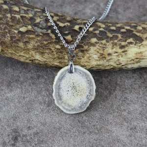 Deer Antler Medallion, Natural Antler Lucky Charm, Deer Anter Talisman Pendant, Ethical Deer Antler Necklace, Unique Handcrafted Gift