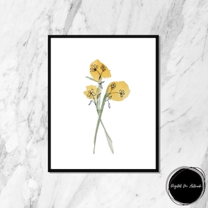 watercolor flower, watercolor print, gallery Wall Art, modern poster, gallery wall decor, gallery wall prints, gallery wall, watercolor art