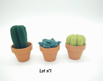 Mes petits cactus en feutrine : lot de 3, taille médium
