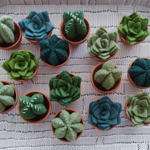 My little felt cacti: set of 3, size small