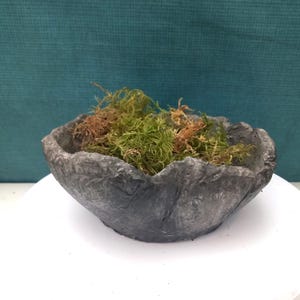 Unterstützung für Kokedama, Untertasse für Kokedama
