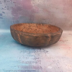 coupe ronde pour Bonsaï