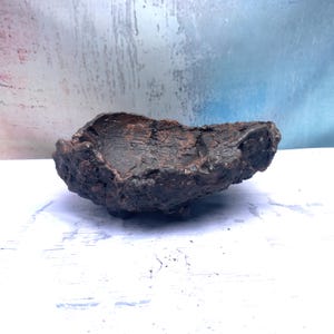 Op de afbeelding: Een donkerbruine, onregelmatig gevormde kom met een ruwe, getextureerde buitenkant en een gladde, holle binnenkant. De schaal heeft een diepe, organische vorm met een donker, verweerd uiterlijk en staat op kleine, geïntegreerde voetjes.