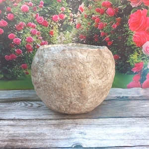 Op de afbeelding: Een ronde, beige, getextureerde plantenbak met een ruw, steenachtig oppervlak en een brede, open bovenkant. De buitenkant heeft een onregelmatige, organische afwerking met subtiele kleurvariaties, wat doet denken aan natuursteen.