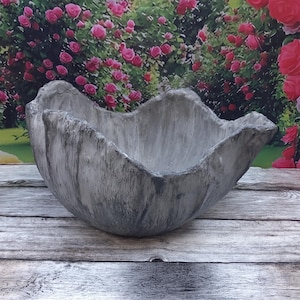 Peut inclure: Un bol en béton gris texturé avec un bord ondulé. Le bol est posé sur une surface en bois, avec une toile de fond de roses roses. Le design du bol rappelle une fleur ou un coquillage, adapté à des fins décoratives.