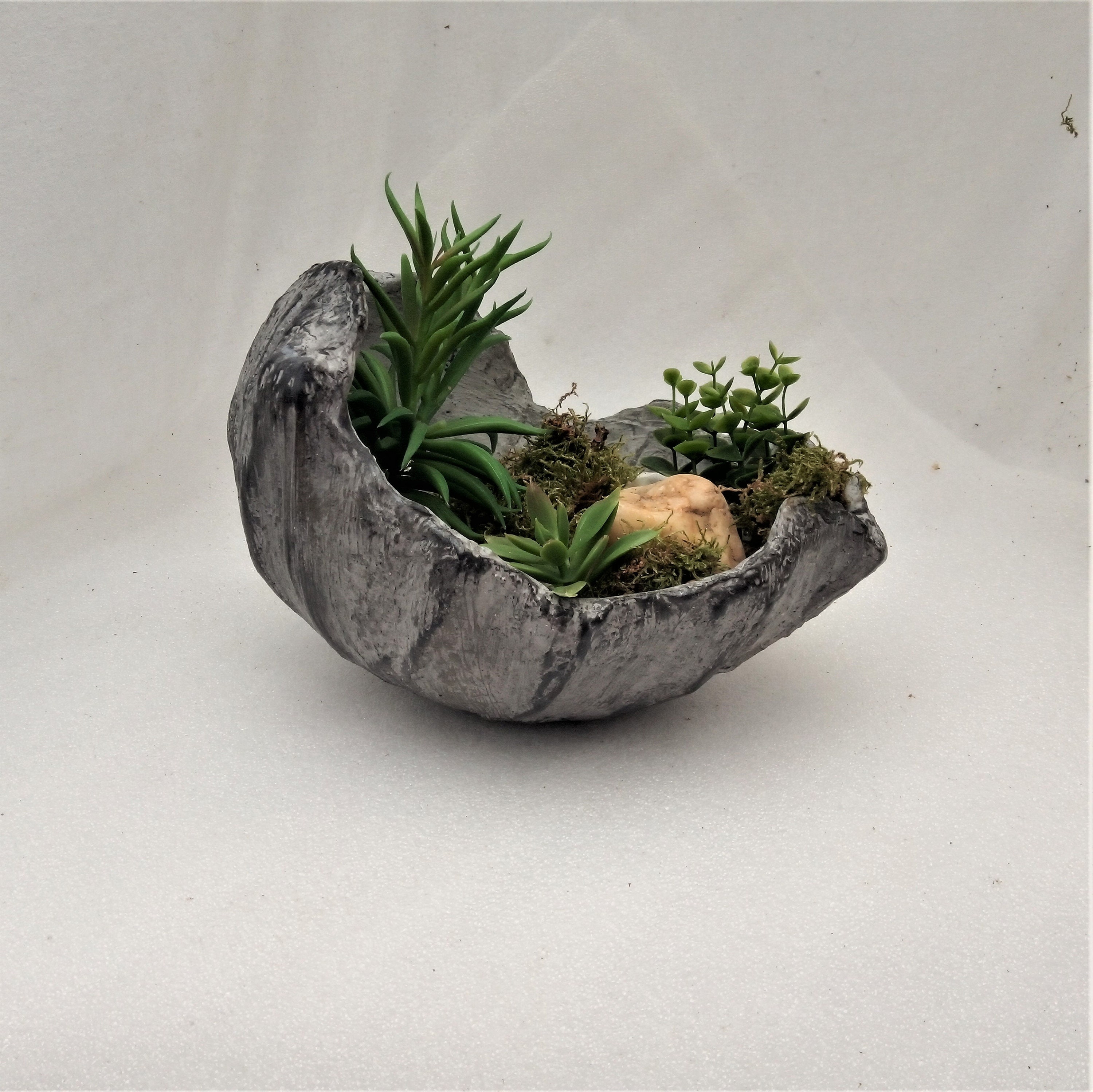 Contenant Pour Mini-Jardin ou Composition de Plantes