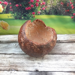 May include: A brown, textured, decorative bowl with a rough exterior. The bowl has a wide opening and a lighter brown interior. The bowl is sitting on a wooden surface with a floral background.