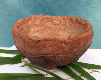 pot rond bas pour cactus, succulente, caudex,