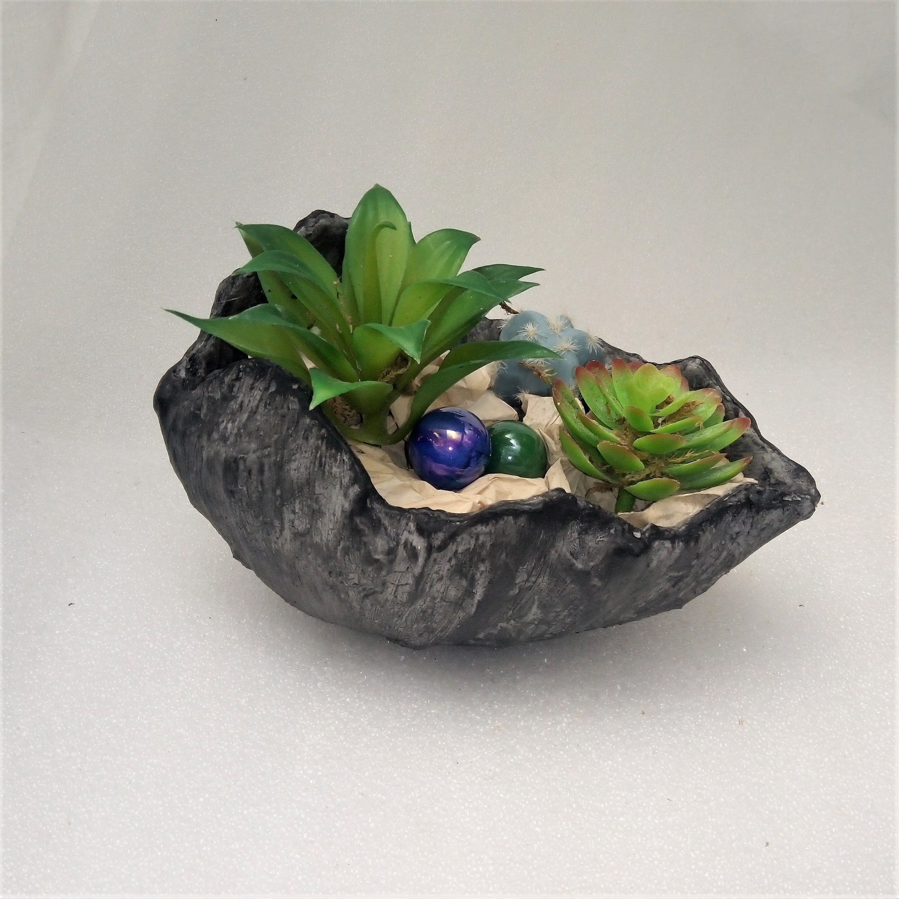 Pot Cactus et Succulentes