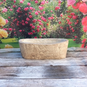 Könnte beinhalten: Ein rechteckiger, beigefarbener Pflanzkübel mit strukturierter Oberfläche. Der Pflanzkübel besteht aus einem hellen Material und hat eine breite, offene Oberseite. Der Hintergrund zeigt eine Blumenszene mit rosa und gelben Rosen.