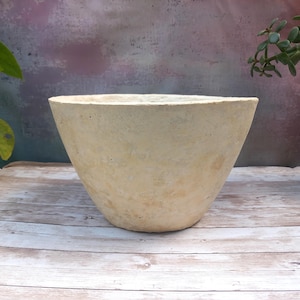 May include: A wide, bowl-shaped planter with a textured, matte surface in a pale cream and beige color. The vessel features a thick, rounded rim and a tapered base, displaying a porous, stone-like appearance with subtle variations in tone.