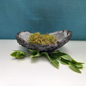 Kokedama-Ständer, Kokedama-Untertasse