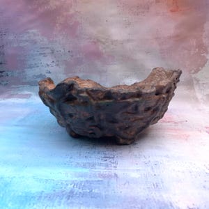 Può includere: Una ciotola in ceramica strutturata, con esterno marrone scuro e interno marrone chiaro. La ciotola ha una forma organica e irregolare e poggia su piccoli piedini. Lo sfondo è una miscela di blu, rosa e bianco.