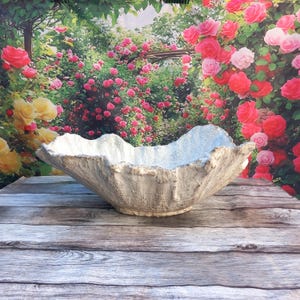 Peut inclure: Un grand bol décoratif en béton texturé gris et blanc avec un bord ondulé. Le bol est posé sur une surface en bois vieilli, avec une toile de fond de jardin de roses.