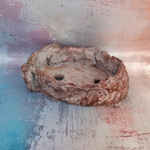 Può includere: Un vaso fatto a mano, di forma ovale, con un aspetto strutturato simile alla roccia. Il vaso è principalmente marrone rossiccio con accenti bianchi, con due fori di drenaggio. Ideale per piccole piante o succulente.
