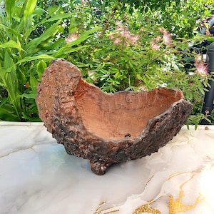 Peut inclure: Un pot de fleurs en céramique brun foncé texturé avec un extérieur rugueux rappelant l'écorce et un intérieur lisse brun rougeâtre. Ce récipient en forme de bol présente un bord irrégulier et repose sur trois petits pieds robustes.