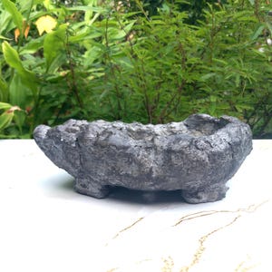 Può includere: Una fioriera oblunga grigia, strutturata, con una superficie ruvida e irregolare. La fioriera poggia su tre piedini ed è realizzata in un materiale grigio scuro. Lo sfondo presenta un fogliame verde.